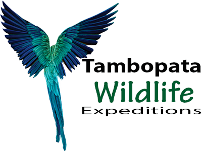 logotambolog tambopata